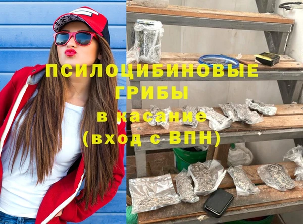 круглые Инсар