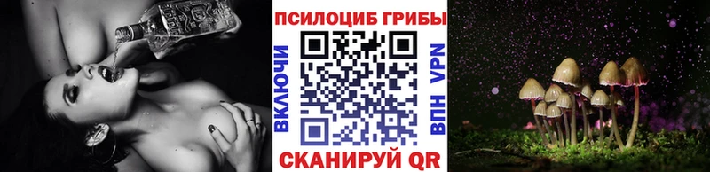 Псилоцибиновые грибы Psilocybe Инсар